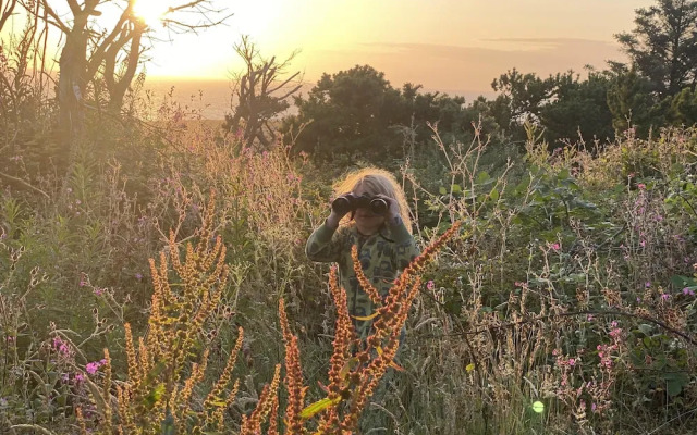 Elm - Bell Tent 2-4 Person Anglesey, North Wales