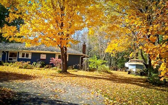 Eider's down Bed and Breakfast