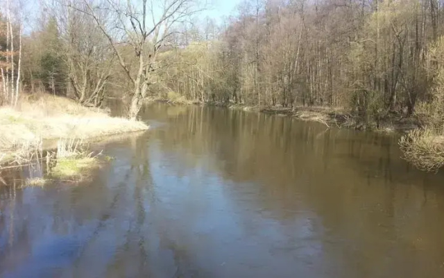 Domek w Dolinie Drwęcy