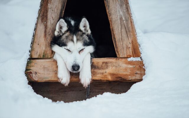 Lapland Hotels Snow Village