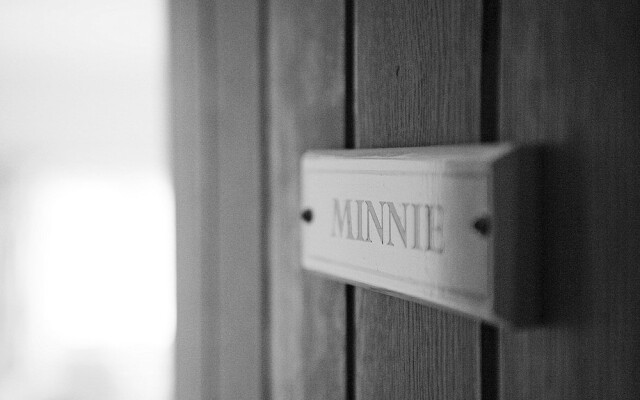 Minnie - Tiger Inn