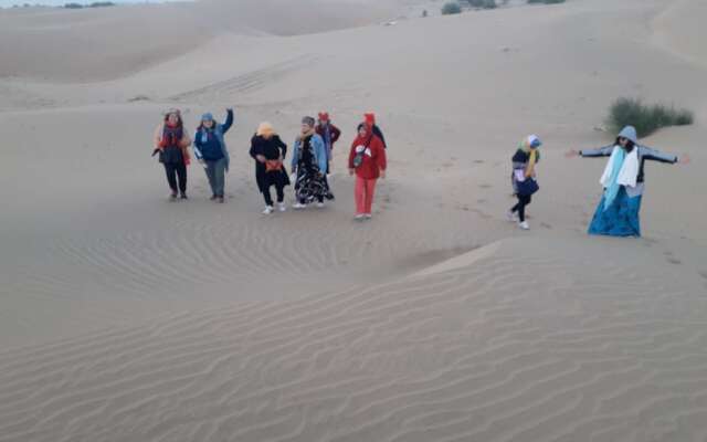 Amazing Desert Camp