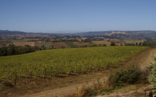 Il Cardo