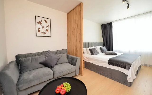 Novo Studio - Cismigiu Gardens - Quiet Room - Smart Tv