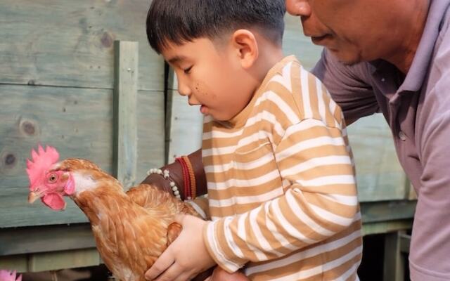 La Cocotte Villa & Farm Khao Yai