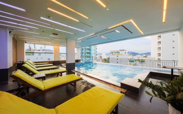 Daisy Flower Nha Trang