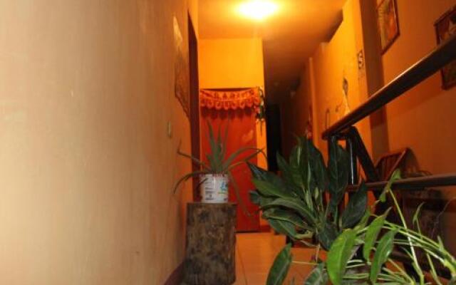 Sachahuasca Backpacker