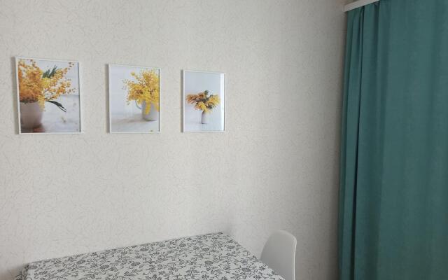 Апартаменты на переулке Калашникова