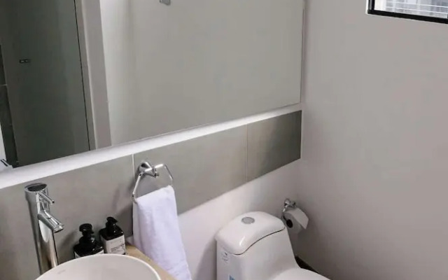 Perfect 1 BR in Centro Historico