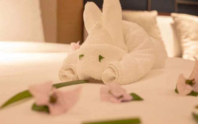 Sonnys inn and car rentals