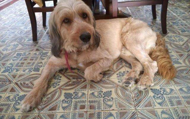 BB Al Giardino
