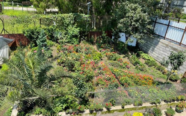 Guest House Passiflora პასიფლორა