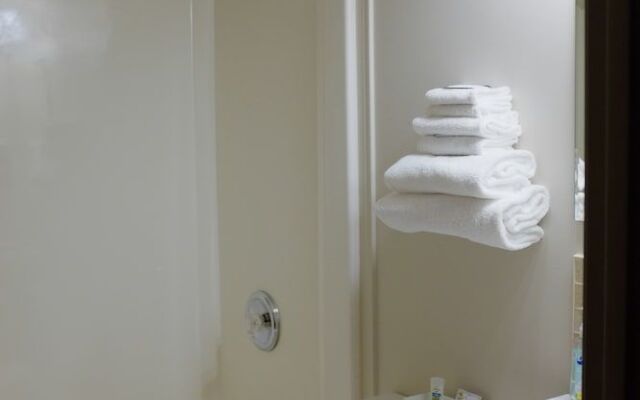 Hotel Robin Hood and Suites