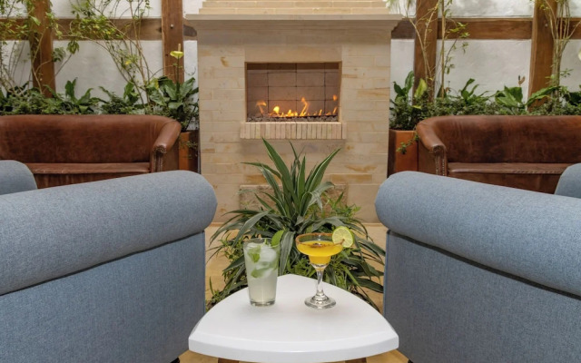 Camelia by Masaya Collection