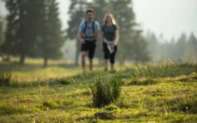 Rogla – Hotel Rogla