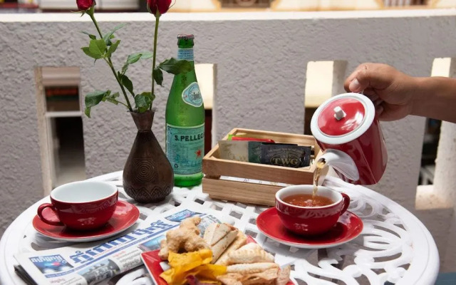 Mane Colonial Classic