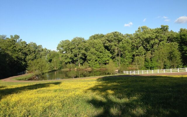 Meadow View Farm