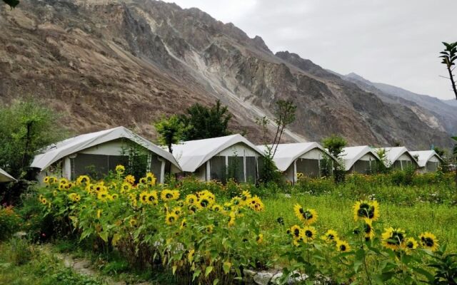 TIH Buckwheat Root Camp - Turtuk