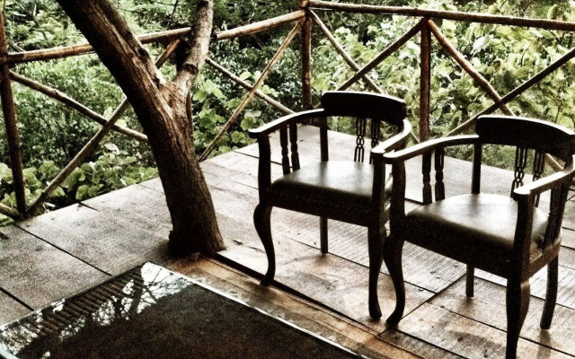 The Tree House Resort