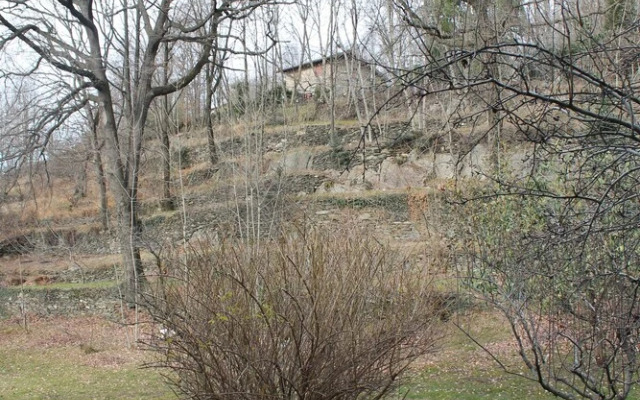 Rustico Grande Terreno