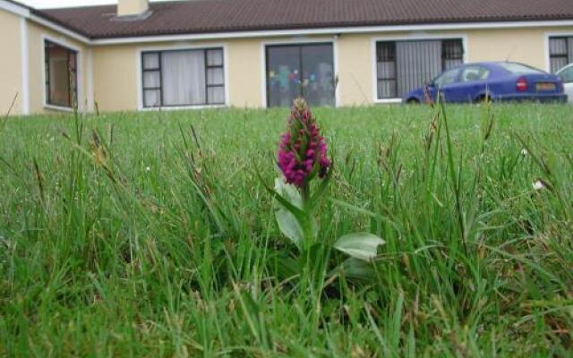 Burren Breeze Accommodation