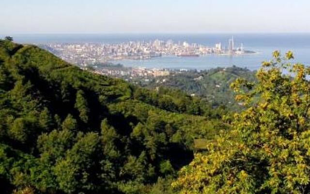 Sakhalvasho Teas Guest Hous