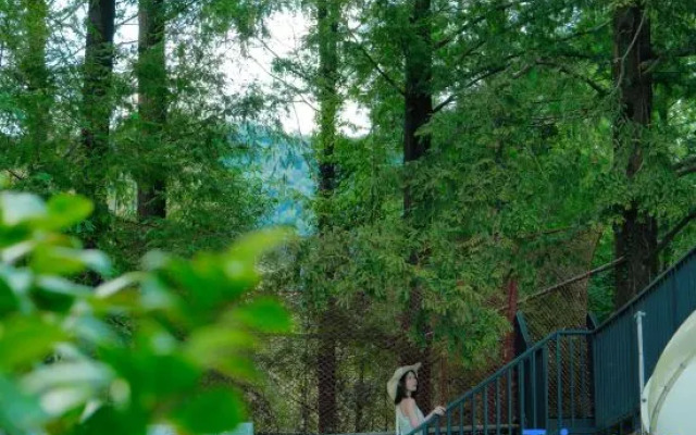 Moganshan YANGSEN · Oxygen Forest Summer Slide Pool Vacation Homestay