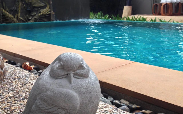 Bunga Monta Villa – Pool – Thalang