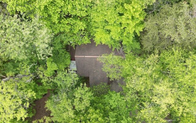 Woods Song - Natures Promise