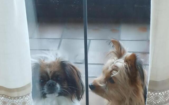 Bergschlössl Fewo 28