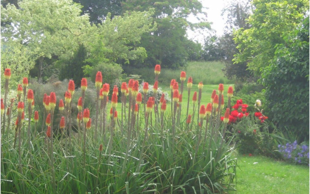 Earsham Park Farm