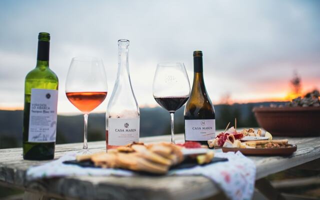 Villa Miramar at Casa Marin Vineyards