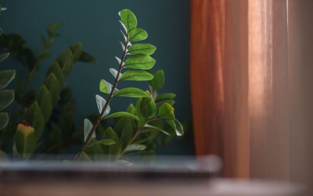 Satori Homestay Entire House