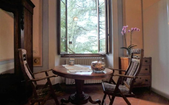 Superb Ponente Studio