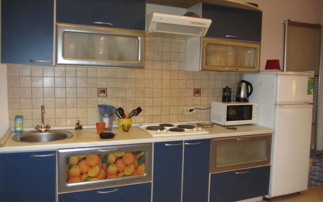 Old Flat Apartments Degtyarniy