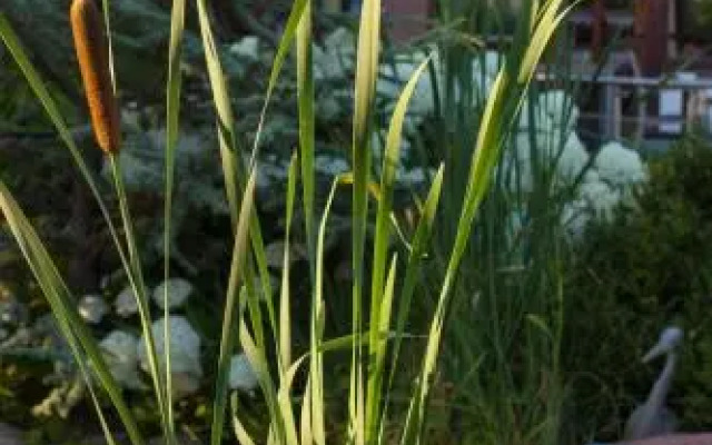 Hotel Pension Blumenbach