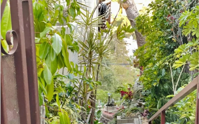 Secret Stairs Apt Hollywood Hills
