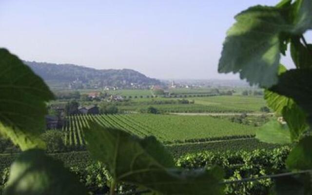 Weingut Landerer