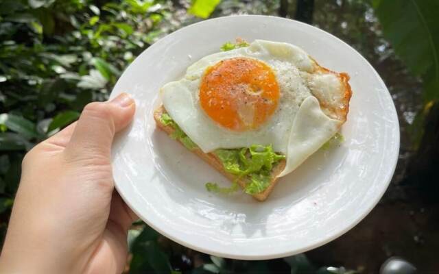 Lanha Hotel-Homestay