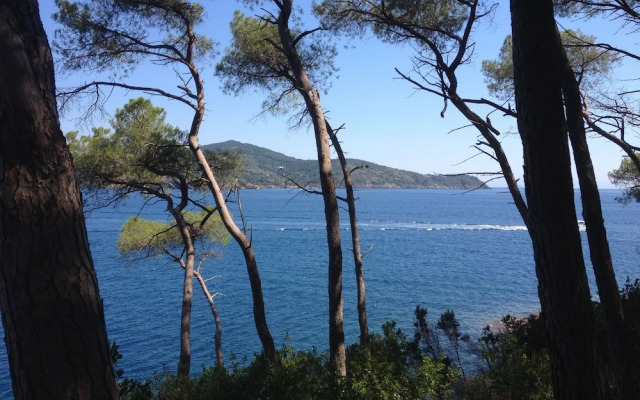 Appartamento Villa da 4 Fino a 5 Persone Giardino