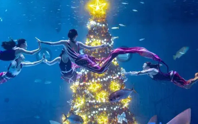 Shanghai Jinqiao Haichang Penguin Resort Hotel