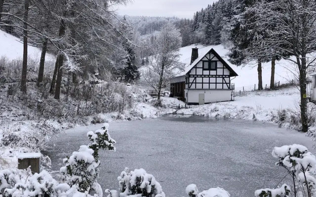 Ruckzugsort am Teich in Winterberg
