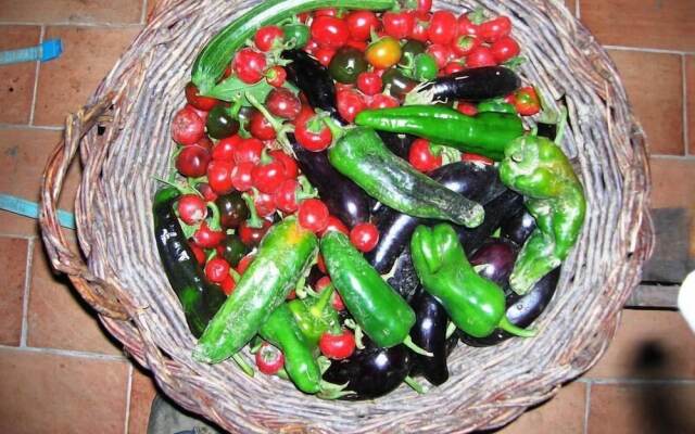 Azienda Agrituristica La Canestra