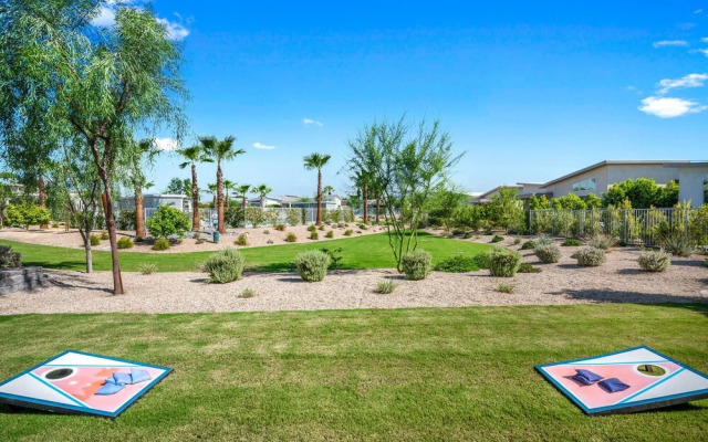 Chic Desert Oasis