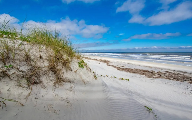 Sand Dollar I-208
