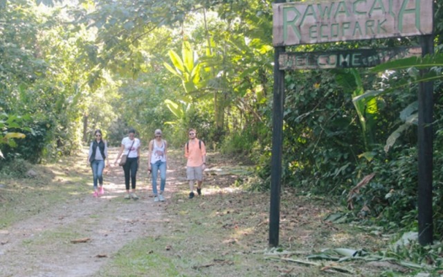 Paraiso Rainforest and Beach Hotel