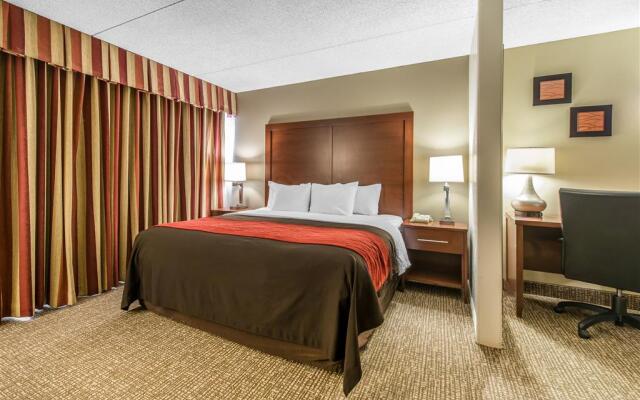 Comfort Inn & Suites Denver