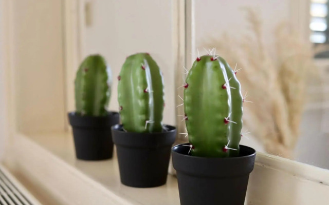 Unique and Renovated House Down Town Nicosia - Old City