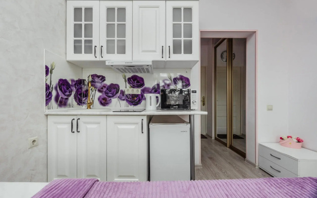 Апартаменты на улице Депутатская 10Д