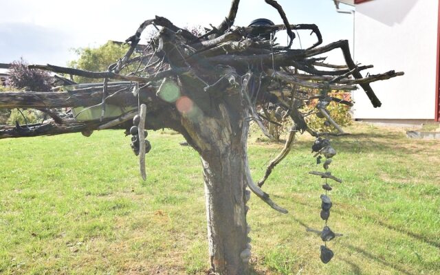 Spacious Holiday Home in Borgerende-Rethwisch with Garden